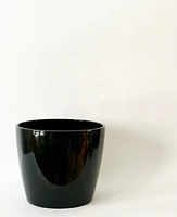 Marlow Plant Pot 3"