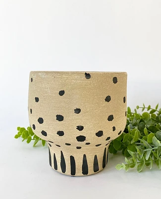 Desert Plant Pot