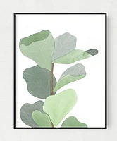 Figleaf Art Print