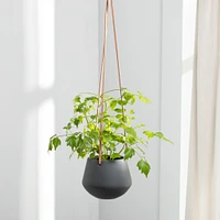 Ashbury Plant Hanger