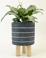 Anya Plant Pot