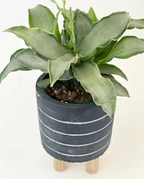 Anya Plant Pot