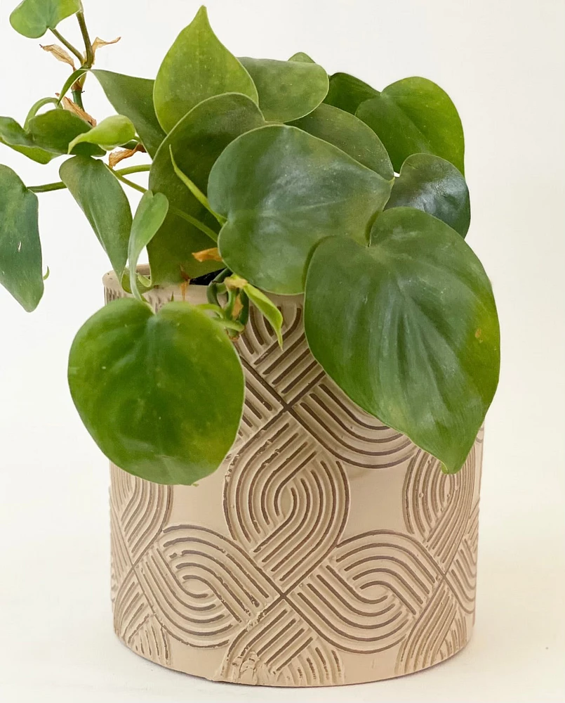 Athens Plant Pot