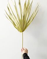 Wispy Dried Palm Leaf Stems -Green