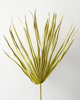 Wispy Dried Palm Leaf Stems -Green