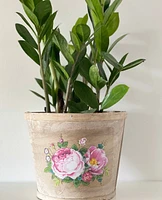 Peony Plant Basket