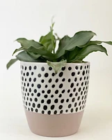 Olive Plant Pot -Pink