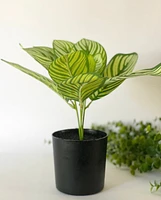 Faux Dieffenbachia Plant