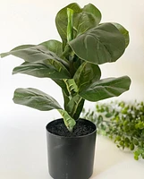 Faux Fiddle Leaf Fig