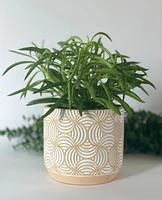 Jemma Plant Pot