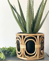 Boca Pot Collection