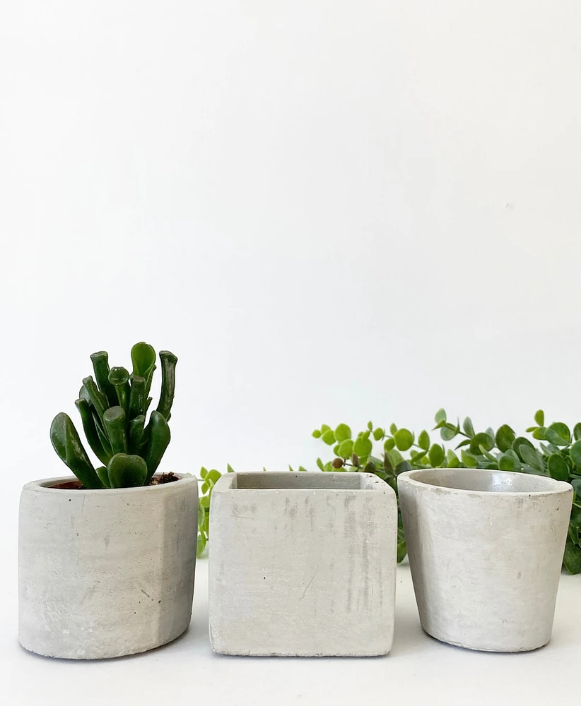 Mini Cement Pots