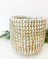 Tejida Basket Planter