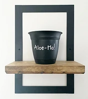 Potted 6" Plant Pots