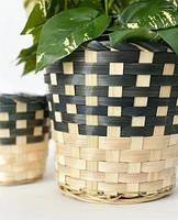 Marcus Plant Baskets