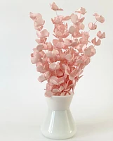 Pink Eucalyptus Stems