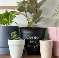 Potted 6" Plant Pots