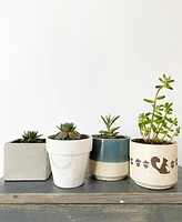 Mini Cement Pots