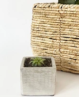 Mini Cement Pots