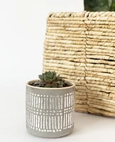 Metallic Mini Pots