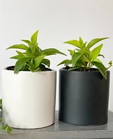 Cercle Plant Pot Collection