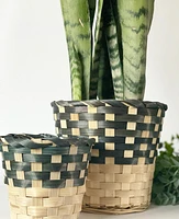 Marcus Plant Baskets