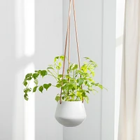 Ashbury Plant Hanger