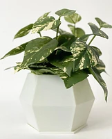 Sijo Plant Pot -Glow the Dark