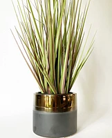 Reactive Plant Pot