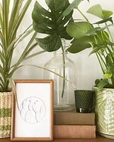 Monstera Leaf Stems