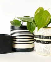 Ranch Plant Pot Collection