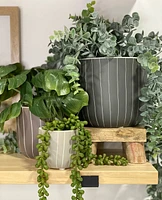 Sebasco Plant Pots