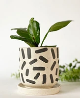 Sprinkles Plant Pot