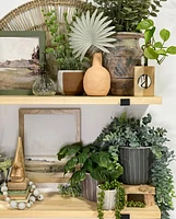 Sebasco Plant Pots