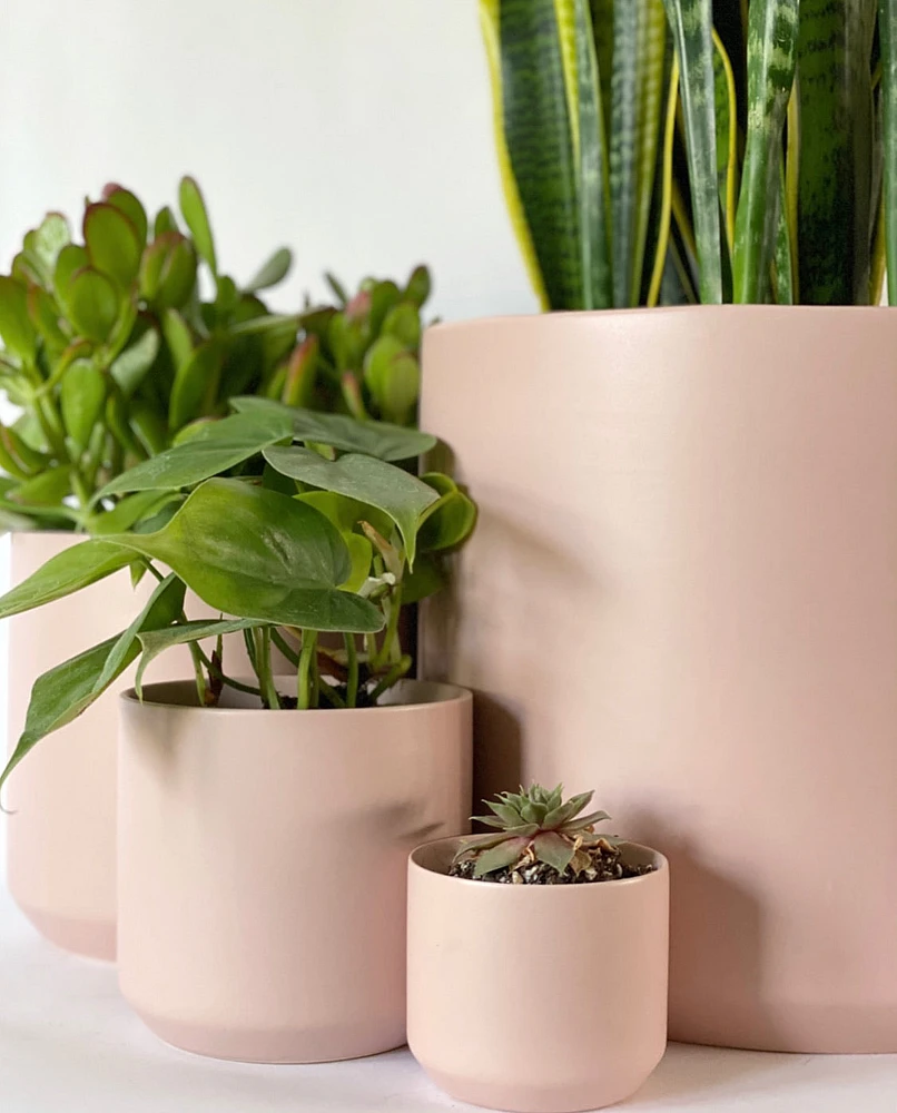 Kendall Pink Pot Collection