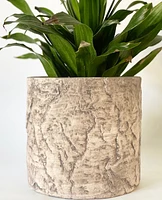 Bark Plant Pot