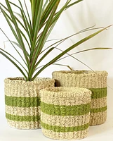 Juno Plant Pots