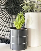 Pepper Plant Pot -Black