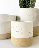 Sandstone Plant Pots