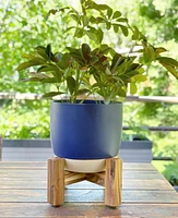 Bumble Plant Pot