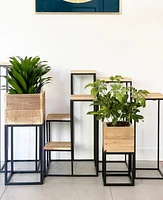 Four Tiered Plant Stand