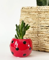 Little Bugger Plant Pots