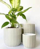 Sebasco Plant Pots