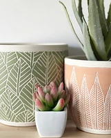 Amazon Plant Pot -Light Pink