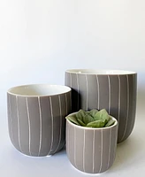 Sebasco Plant Pots