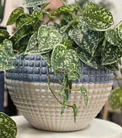 Faux Satin Pothos