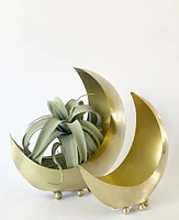 Footed Moon Planter