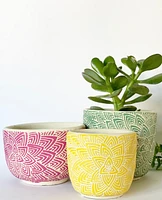 Lotus Plant Pots