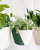 Hanging Plant Baskets