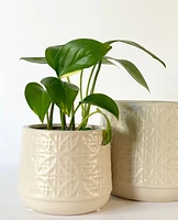 Polly Plant Pots